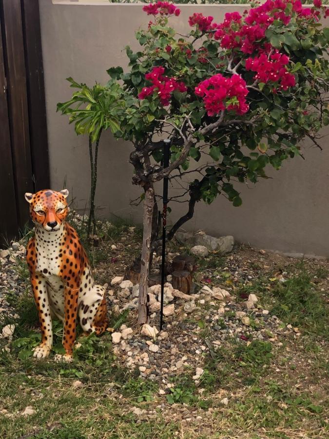 Len'House Villa Oyster Pond Dış mekan fotoğraf